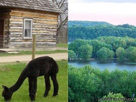 Galena Log Cabin Getaway Εξωτερικό φωτογραφία